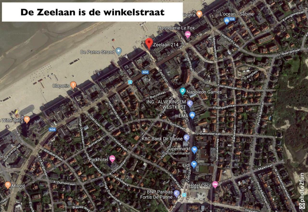 Residentie Albert-1, App.202, Zeelaan 214 德帕内 外观 照片