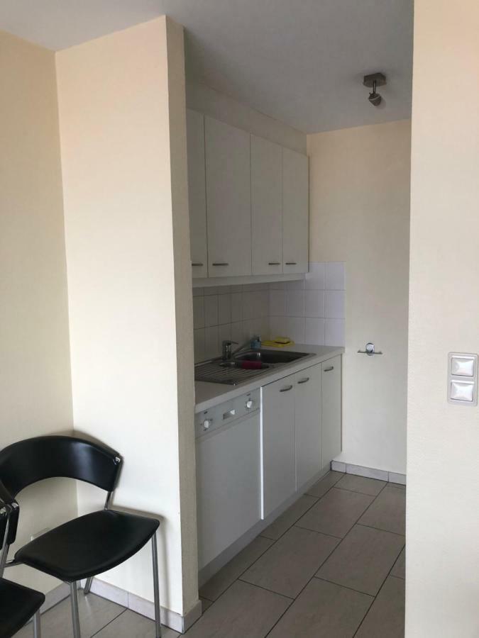Residentie Albert-1, App.202, Zeelaan 214 德帕内 外观 照片